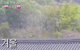 대표이미지.jpg